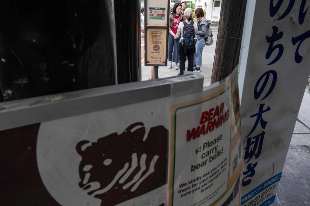 Tokyo Pertimbangkan Cabut Larangan Berburu Beruang untuk Pertama Kali dalam Hampir 20 Tahun